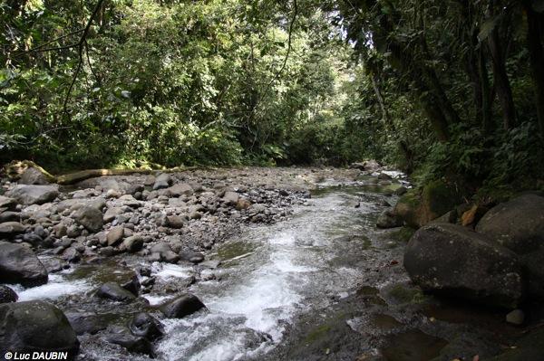 Riviere.JPG
